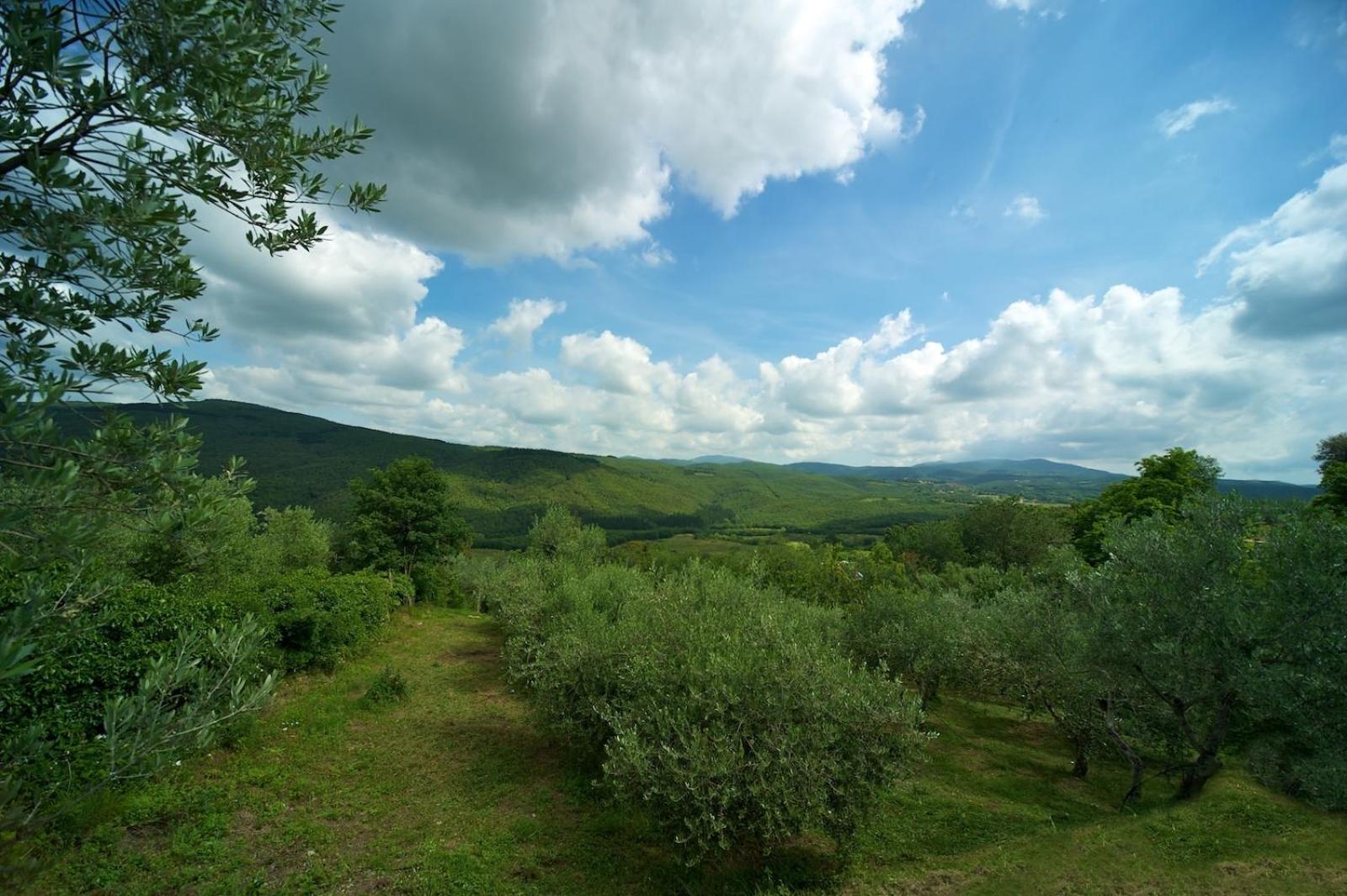Hotel Girifalco - Nature & Relax Massa Marittima Eksteriør bilde